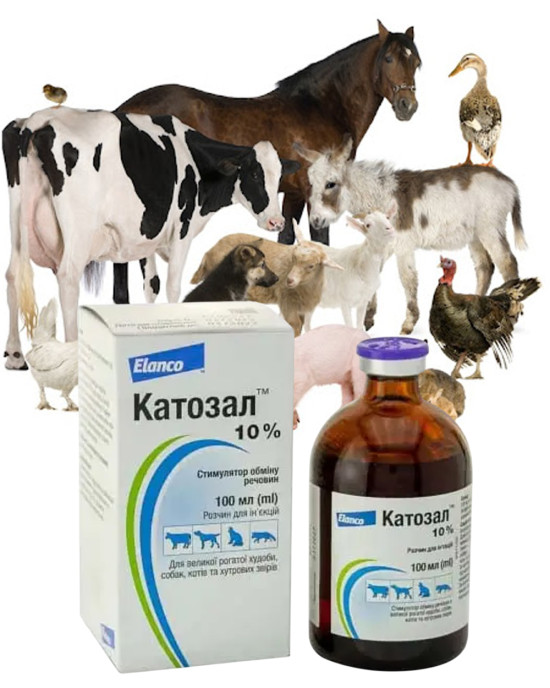 Катозал 10% 100 мл Катозал 10% 100 мл