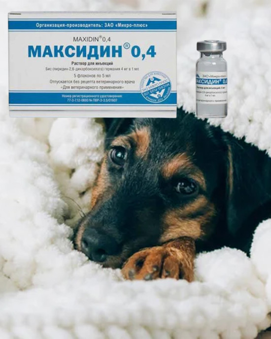 Імуностимулятор Мікро-Плюс Максидин флакон 5 мл