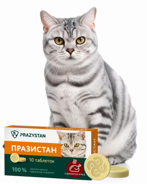 Таблетки для котів Празистан з ароматом мяса в упаковці 10 штук