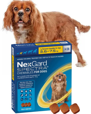 Таблетки для собак 3.5-7.5 кг NexGard Spectra (НексГард Спектра) против паразитов 3 таблетки